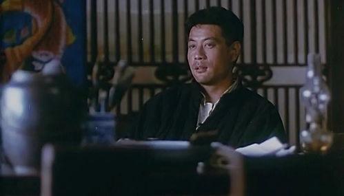 炮打双灯在线观看,激情燃烧的抗战岁月  第3张