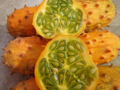 非洲网红吃瓜视频大全,趣味横生的非洲生活瞬间  第1张