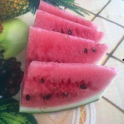 免费吃瓜头像,带你领略潮流趣味  第3张