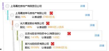 嘉宏房地产爆料视频,项目真相与行业乱象 第1张 嘉宏房地产爆料视频,项目真相与行业乱象 第1张