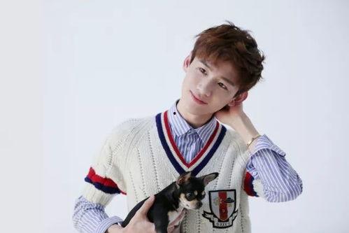 圈内人爆料白敬亭谭松韵,甜蜜互动引粉丝热议  第2张